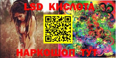 мдпв Новозыбков