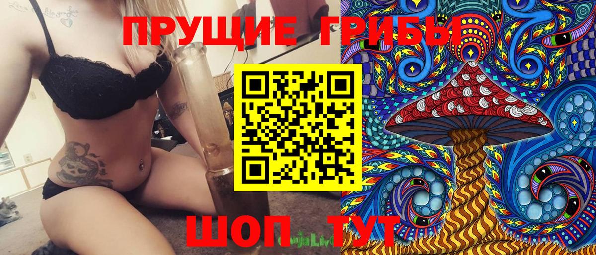 Узловая  Псилоцибиновые грибы прущие грибы  Псилоцибиновые грибы Psilocybe  Вход с VPN 